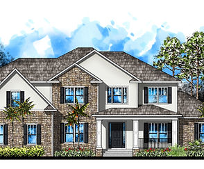 Elevation Rendering