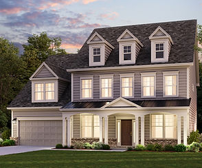 3D Elevation Rendering